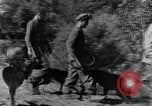 Image chiens de guerre Man-Tha Birmanie, 1944, de la seconde 16 séquences d'archives historiques vidéo 65675050915