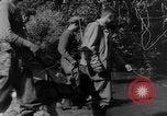Image chiens de guerre Man-Tha Birmanie, 1944, de la seconde 17 séquences d'archives historiques vidéo 65675050915
