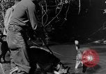 Image chiens de guerre Man-Tha Birmanie, 1944, de la seconde 18 séquences d'archives historiques vidéo 65675050915