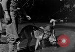 Image chiens de guerre Man-Tha Birmanie, 1944, de la seconde 20 séquences d'archives historiques vidéo 65675050915
