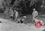 Image chiens de guerre Man-Tha Birmanie, 1944, de la seconde 37 séquences d'archives historiques vidéo 65675050915