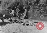 Image chiens de guerre Man-Tha Birmanie, 1944, de la seconde 40 séquences d'archives historiques vidéo 65675050915