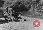 Image chiens de guerre Man-Tha Birmanie, 1944, de la seconde 42 séquences d'archives historiques vidéo 65675050915