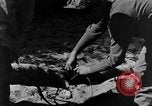 Image chiens de guerre Man-Tha Birmanie, 1944, de la seconde 44 séquences d'archives historiques vidéo 65675050915