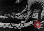 Image chiens de guerre Man-Tha Birmanie, 1944, de la seconde 46 séquences d'archives historiques vidéo 65675050915