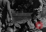 Image chiens de guerre Man-Tha Birmanie, 1944, de la seconde 49 séquences d'archives historiques vidéo 65675050915