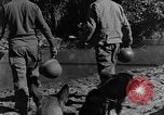 Image chiens de guerre Man-Tha Birmanie, 1944, de la seconde 50 séquences d'archives historiques vidéo 65675050915