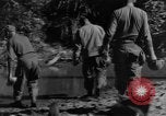 Image chiens de guerre Man-Tha Birmanie, 1944, de la seconde 52 séquences d'archives historiques vidéo 65675050915