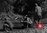 Image chiens de guerre Man-Tha Birmanie, 1944, de la seconde 54 séquences d'archives historiques vidéo 65675050915