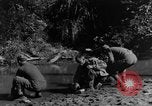 Image chiens de guerre Man-Tha Birmanie, 1944, de la seconde 55 séquences d'archives historiques vidéo 65675050915