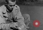 Image chiens de guerre Man-Tha Birmanie, 1944, de la seconde 56 séquences d'archives historiques vidéo 65675050915