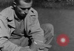 Image chiens de guerre Man-Tha Birmanie, 1944, de la seconde 58 séquences d'archives historiques vidéo 65675050915