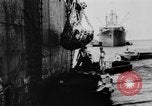 Image DUKWs United States USA, 1943, de la seconde 47 séquences d'archives historiques vidéo 65675050919