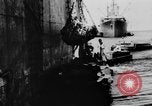 Image DUKWs United States USA, 1943, de la seconde 48 séquences d'archives historiques vidéo 65675050919