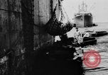 Image DUKWs United States USA, 1943, de la seconde 49 séquences d'archives historiques vidéo 65675050919