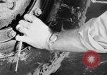 Standbild DUKWs United States USA, 1943, aus Sekunde 42 historischem Filmmaterial Videoclip 65675050920