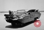 Image of DUKWs United States USA, 1943, second 20 stock footage video 65675050921