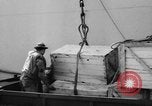 Image of DUKWs United States USA, 1943, second 20 stock footage video 65675050923