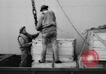 Image of DUKWs United States USA, 1943, second 25 stock footage video 65675050923