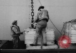 Image of DUKWs United States USA, 1943, second 28 stock footage video 65675050923
