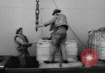 Image of DUKWs United States USA, 1943, second 29 stock footage video 65675050923