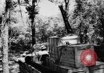 Image of DUKWs United States USA, 1943, second 53 stock footage video 65675050923