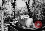 Image of DUKWs United States USA, 1943, second 54 stock footage video 65675050923