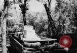 Image of DUKWs United States USA, 1943, second 57 stock footage video 65675050923
