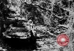 Image of DUKWs United States USA, 1943, second 16 stock footage video 65675050924