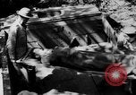 Image of DUKWs United States USA, 1943, second 20 stock footage video 65675050924
