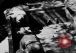Image of DUKWs United States USA, 1943, second 24 stock footage video 65675050924