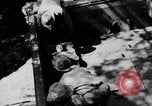 Image of DUKWs United States USA, 1943, second 25 stock footage video 65675050924