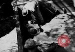 Image of DUKWs United States USA, 1943, second 26 stock footage video 65675050924