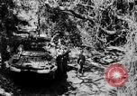 Image of DUKWs United States USA, 1943, second 36 stock footage video 65675050924