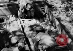 Image of DUKWs United States USA, 1943, second 40 stock footage video 65675050924