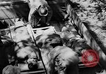 Image of DUKWs United States USA, 1943, second 41 stock footage video 65675050924