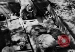 Image of DUKWs United States USA, 1943, second 42 stock footage video 65675050924