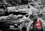 Image of DUKWs United States USA, 1943, second 51 stock footage video 65675050924
