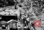 Image of DUKWs United States USA, 1943, second 60 stock footage video 65675050924