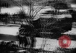 Image of German occupation Austria, 1938, second 9 stock footage video 65675050926