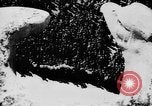 Image of German occupation Austria, 1938, second 54 stock footage video 65675050927