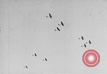 Image of Celebration parade in Vienna during Anschluss Vienna Austria, 1938, second 6 stock footage video 65675050928