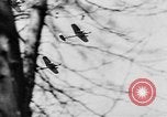 Image of Celebration parade in Vienna during Anschluss Vienna Austria, 1938, second 12 stock footage video 65675050928