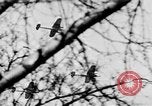 Image of Celebration parade in Vienna during Anschluss Vienna Austria, 1938, second 16 stock footage video 65675050928