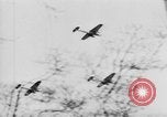 Image of Celebration parade in Vienna during Anschluss Vienna Austria, 1938, second 18 stock footage video 65675050928