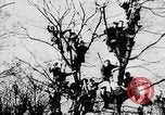 Image of Celebration parade in Vienna during Anschluss Vienna Austria, 1938, second 21 stock footage video 65675050928