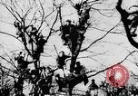 Image of Celebration parade in Vienna during Anschluss Vienna Austria, 1938, second 22 stock footage video 65675050928
