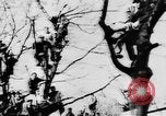 Image of Celebration parade in Vienna during Anschluss Vienna Austria, 1938, second 23 stock footage video 65675050928