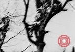 Image of Celebration parade in Vienna during Anschluss Vienna Austria, 1938, second 24 stock footage video 65675050928