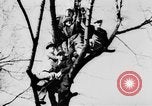 Image of Celebration parade in Vienna during Anschluss Vienna Austria, 1938, second 25 stock footage video 65675050928